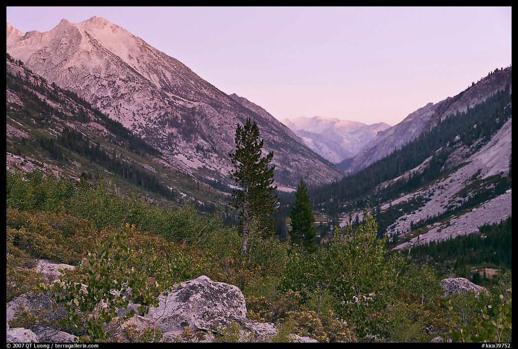 Looking south in Le Conte Canyon at dusk. Kings Canyon  National Park, California, USA.