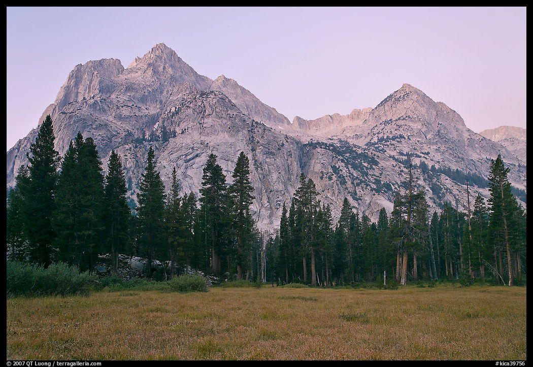 Langille Peak from Big Pete Meadow at dawn, Le Conte Canyon. Kings Canyon  National Park, California, USA.