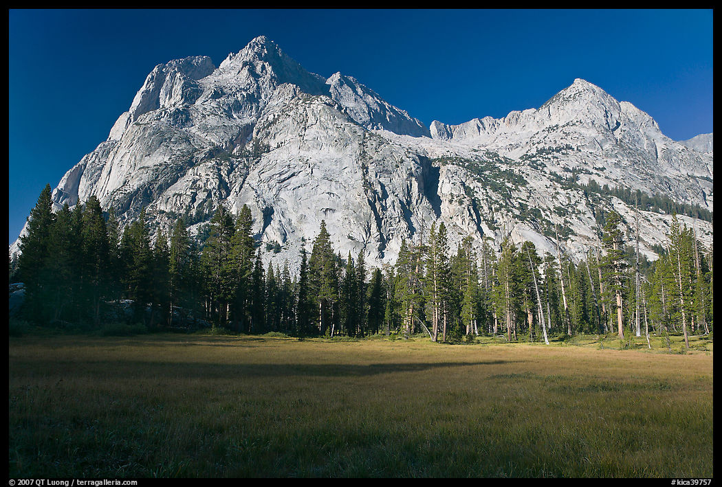 Langille Peak from Big Pete Meadow, morning, Le Conte Canyon. Kings Canyon  National Park, California, USA.