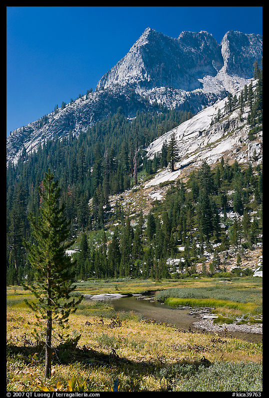 The Citadel rising above Le Conte Canyon. Kings Canyon  National Park, California, USA.