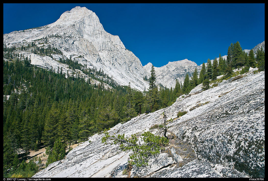 Granite slab and Langille Peak, Le Conte Canyon. Kings Canyon  National Park, California, USA.