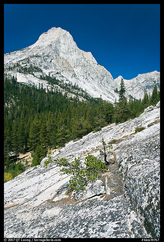 Langille Peak and Granite slab in Le Conte Canyon. Kings Canyon  National Park, California, USA.