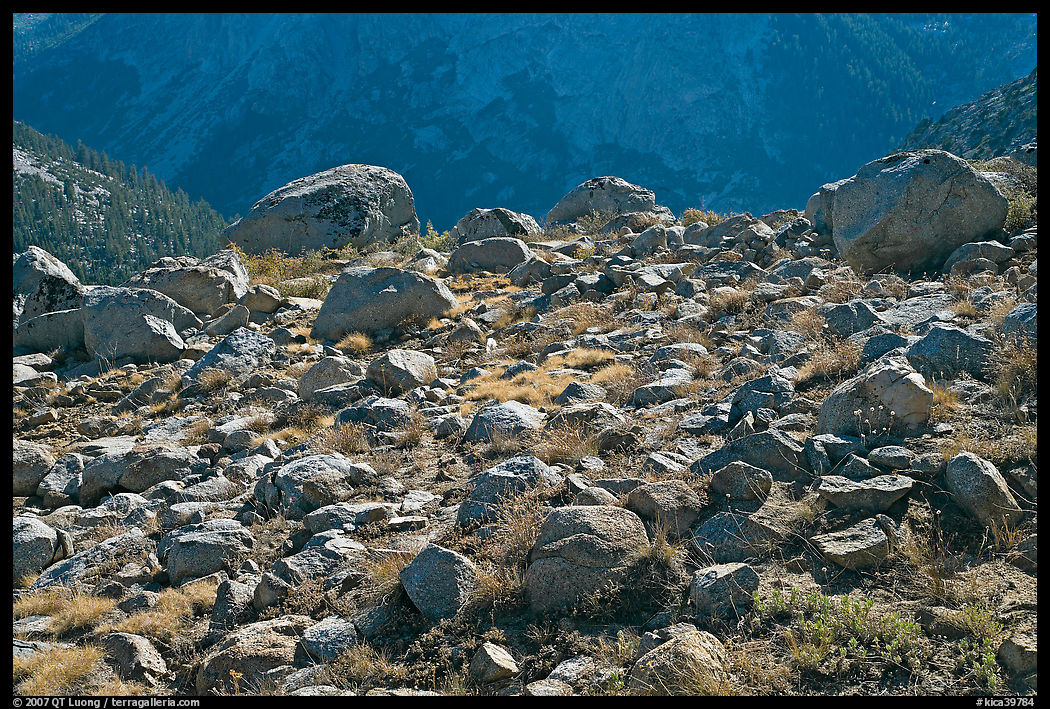Boulders in meadow above Le Conte Canyon. Kings Canyon  National Park, California, USA.