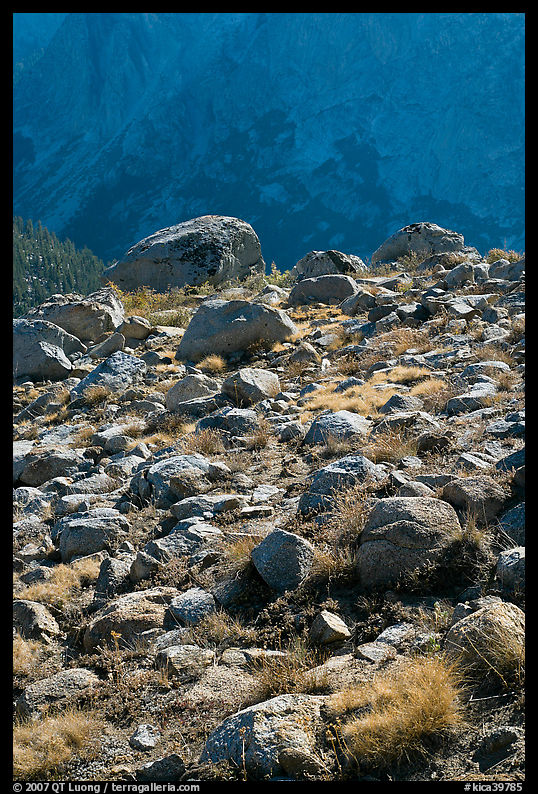 Boulders in meadow and Le Conte Canyon walls. Kings Canyon  National Park, California, USA.