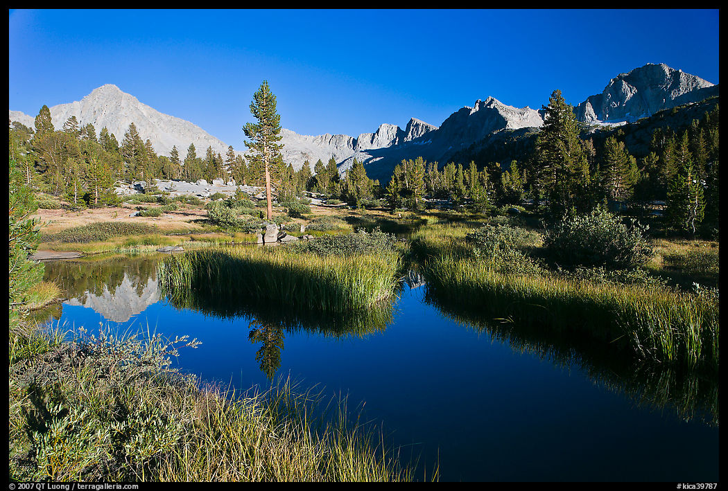 Grasses, creek, and Columbine Peak. Kings Canyon  National Park, California, USA.