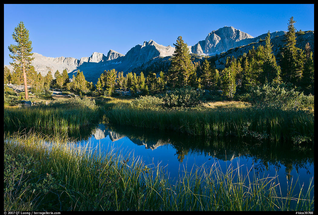 Mountains reflected in calm creek, late afternoon, Lower Dusy basin. Kings Canyon  National Park, California, USA.