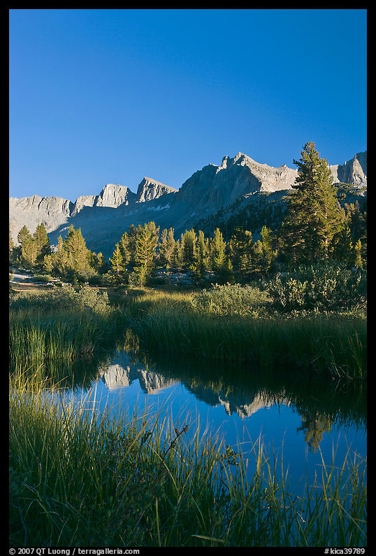 Grasses and mountains reflections, Lower Dusy basin. Kings Canyon  National Park, California, USA.