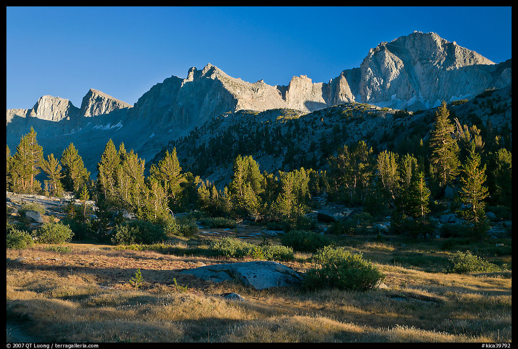 Meadow, trees and mountains, late afternoon, Lower Dusy basin. Kings Canyon  National Park