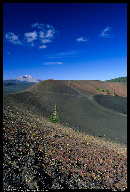 Barren cinder slopes in cone. Lassen Volcanic National Park, California, USA.
