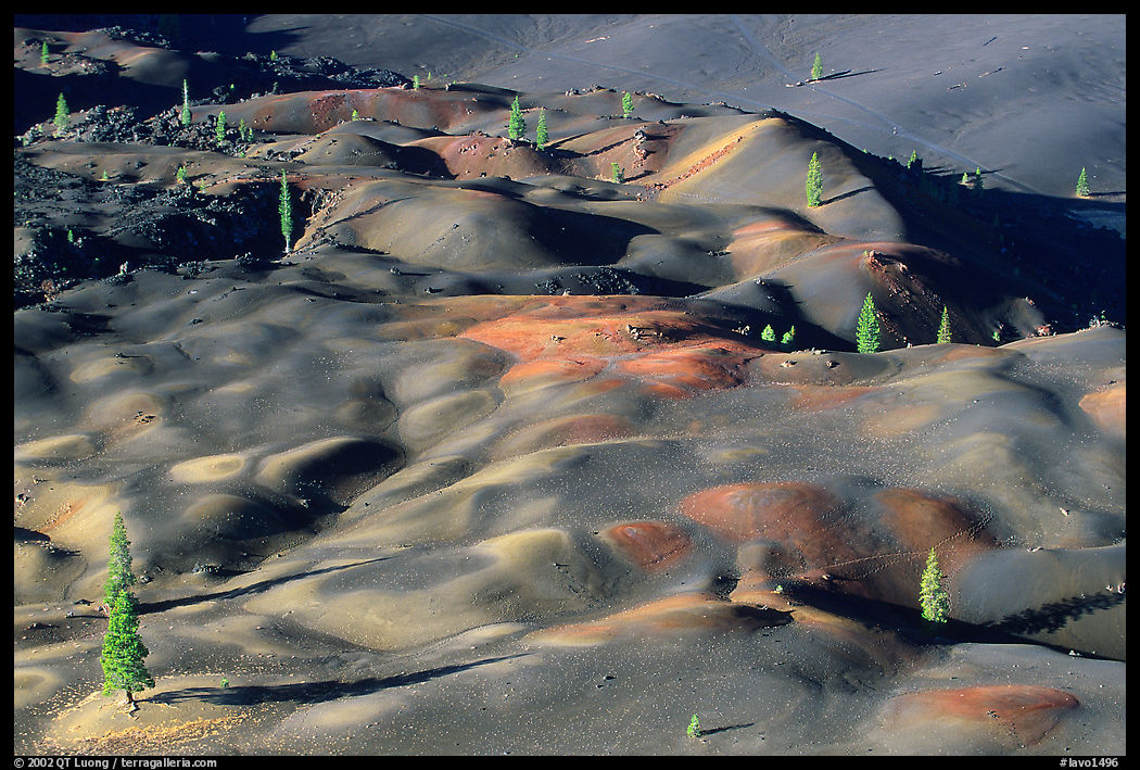 Painted dunes and pine trees. Lassen Volcanic National Park, California, USA.