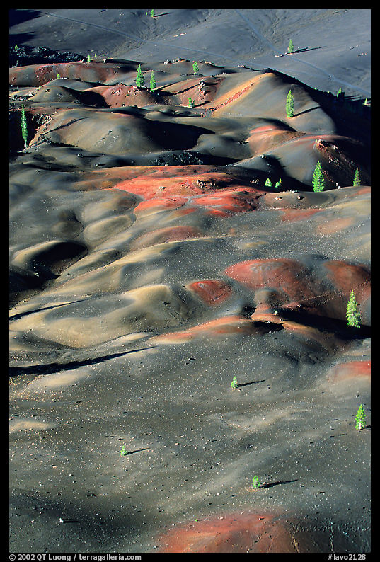 Painted dunes and pine trees. Lassen Volcanic National Park