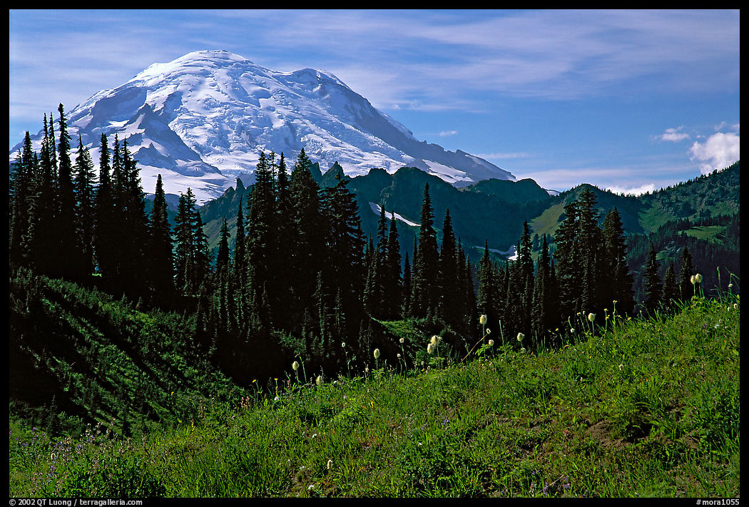Mt Rainier from Tipsoo Lake area, afternoon. Mount Rainier National Park, Washington, USA.