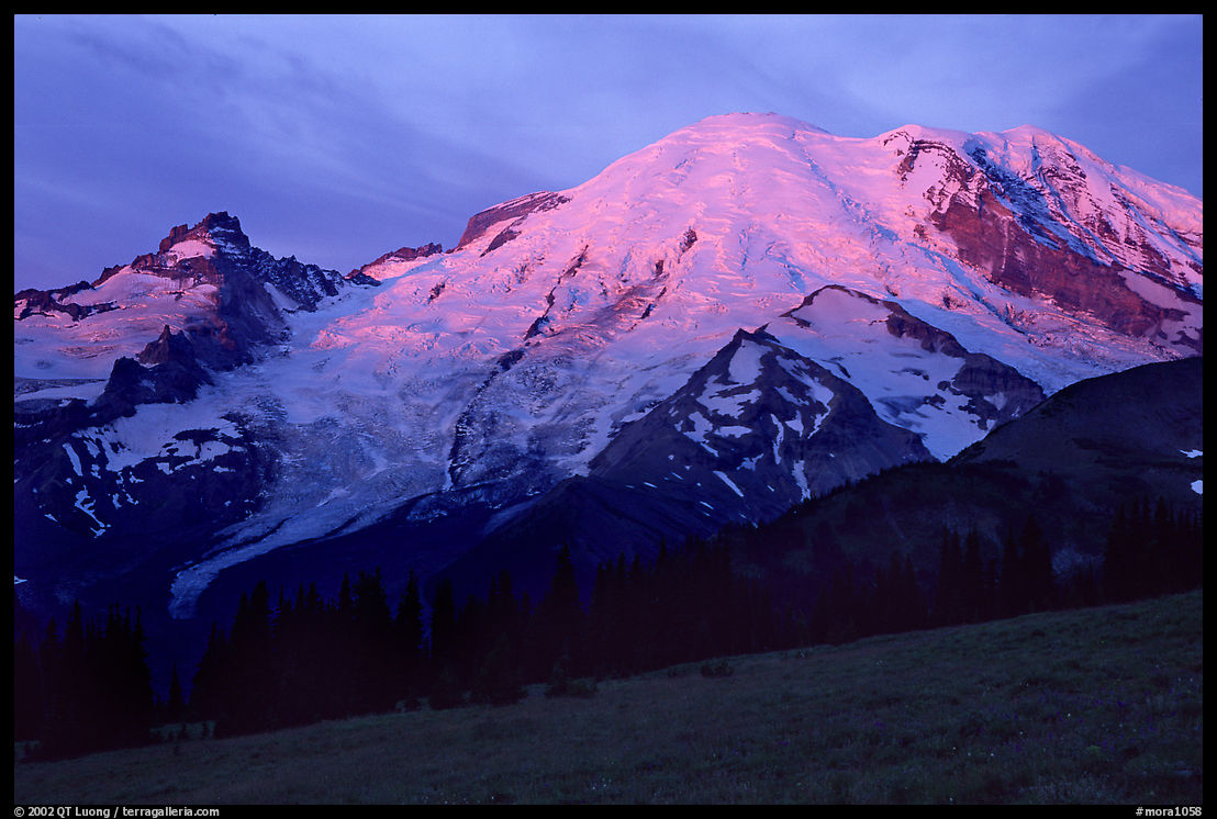 North Face of Mt Rainier, sunrise. Mount Rainier National Park, Washington, USA.