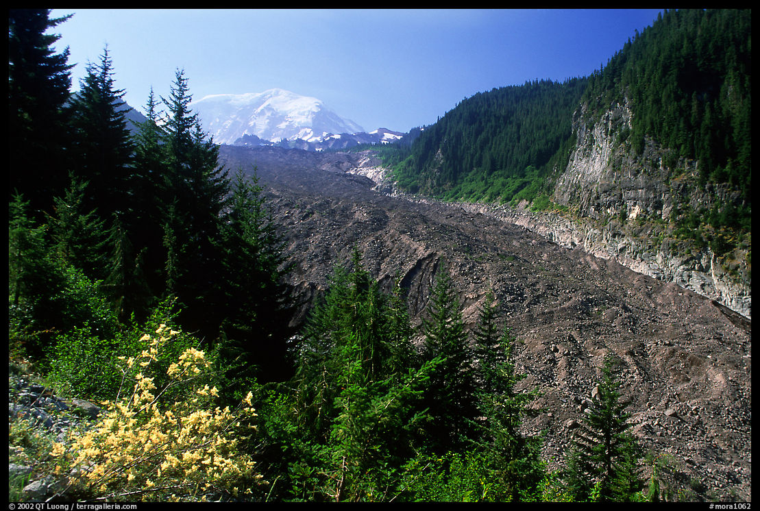 Mt Rainier above debris-covered Carbon Glacier. Mount Rainier National Park, Washington, USA.