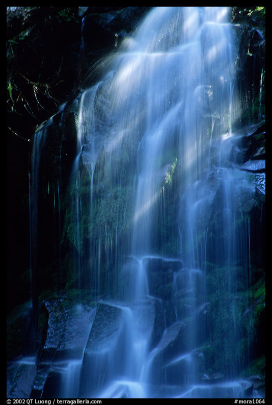 Waterfall in Carbon rainforest area. Mount Rainier National Park, Washington, USA.