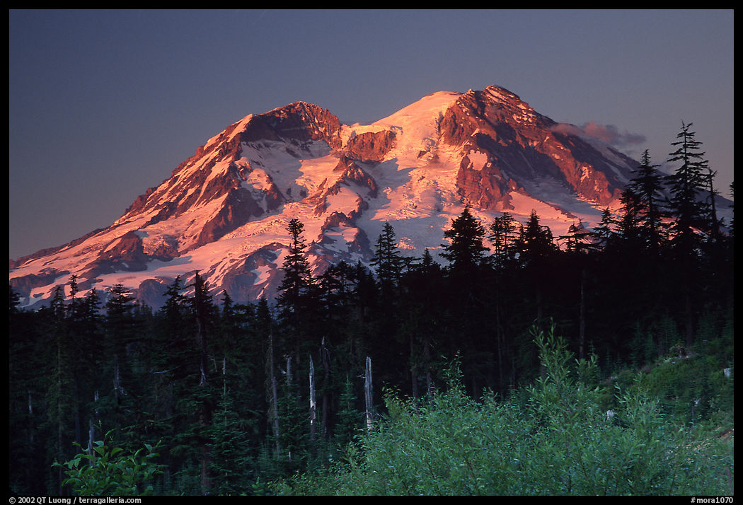 Mt Rainier at sunset from  South. Mount Rainier National Park, Washington, USA.