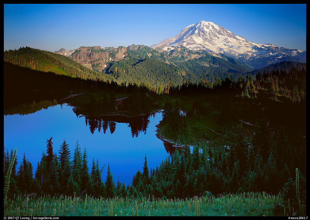 Eunice Lake seen from above with Mt Rainier behind, afternoon. Mount Rainier National Park, Washington, USA.