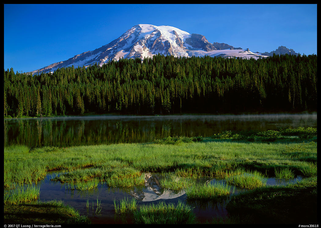 Reflection Lake and Mt Rainier, early morning. Mount Rainier National Park, Washington, USA.