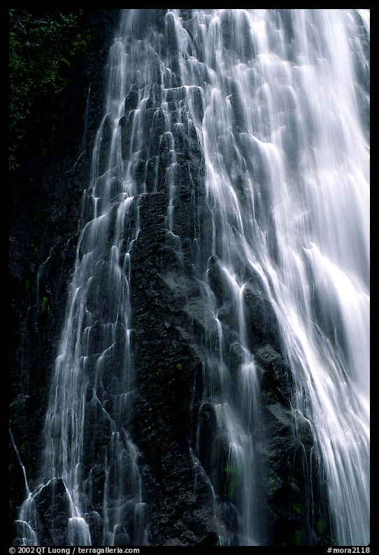 Narada falls. Mount Rainier National Park, Washington, USA.