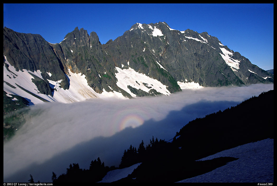 Sun projected on fog below peaks, early morning, Cascade Pass area. North Cascades National Park, Washington, USA.