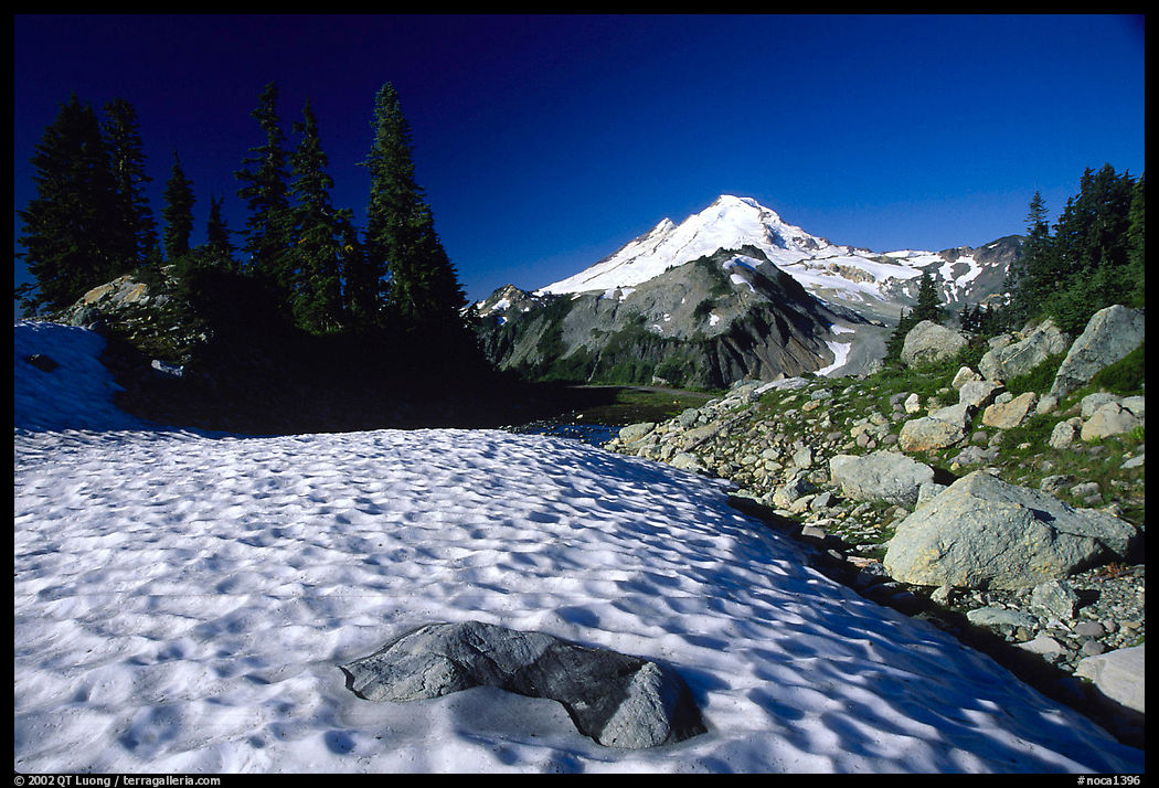 Late summer snow and Mount Baker, early morning. North Cascades National Park, Washington, USA.