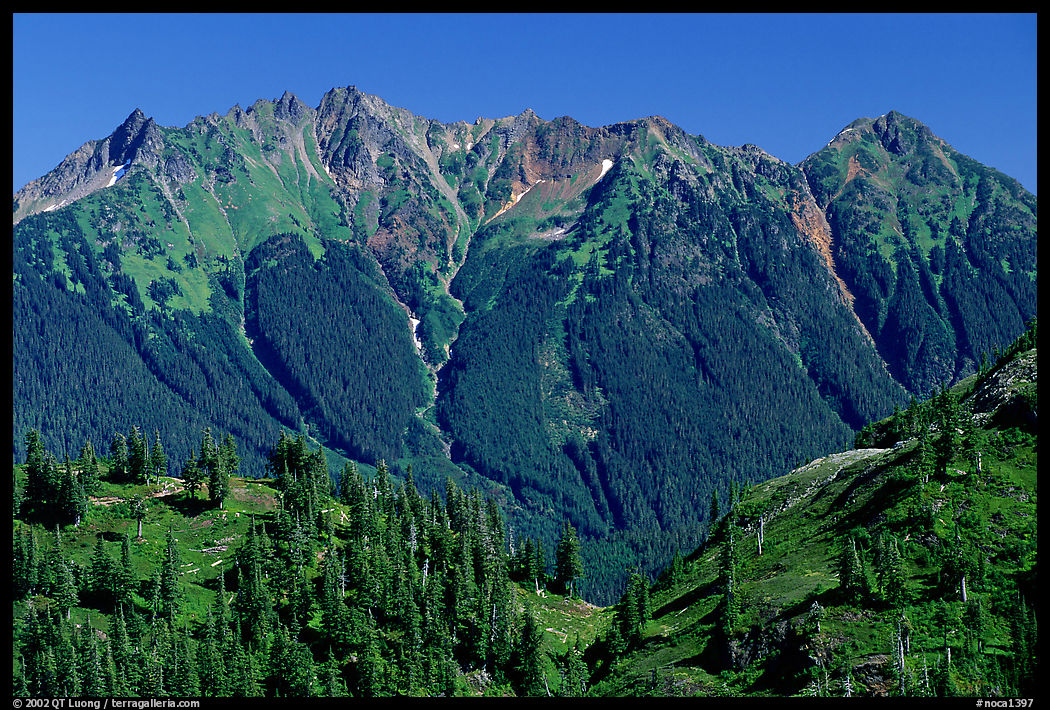 Steep forested peaks. North Cascades National Park, Washington, USA.