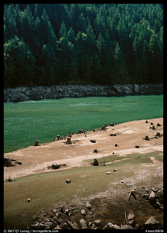 Tree stumps and river. North Cascades National Park, Washington, USA.
