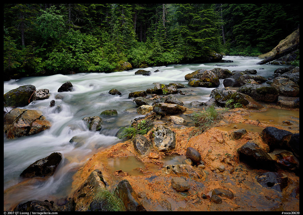 Creek near Kennedy hot springs. North Cascades National Park, Washington, USA.