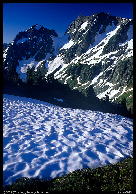 Late summer snow and peaks, Cascade Pass area, morning. North Cascades National Park, Washington, USA.