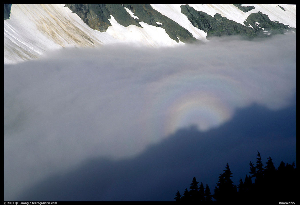 Sun projected on valley clouds, early morning, Cascade Pass area. North Cascades National Park, Washington, USA.