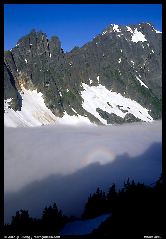 Peaks above fog-filled valley with projected sun, early morning. North Cascades National Park, Washington, USA.