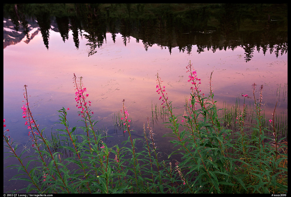 Reflexions in Picture lake, sunset. North Cascades National Park, Washington, USA.