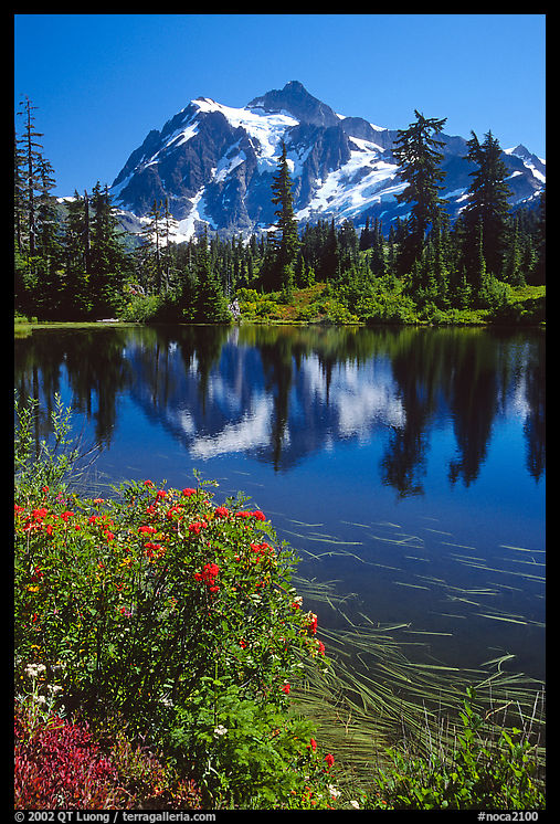 Mount Shuksan and Picture lake, mid-day. North Cascades National Park, Washington, USA.