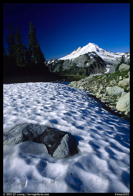 Late summer snow and Mount Baker, early morning. North Cascades National Park, Washington, USA.