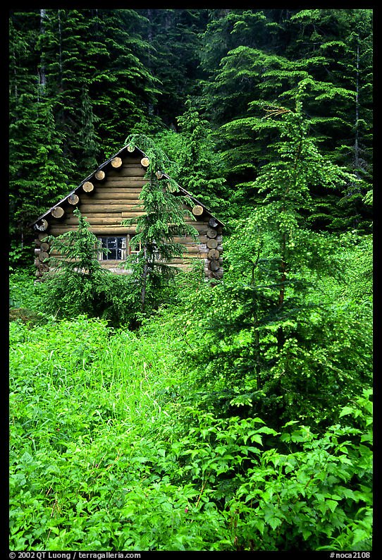 Log cabin. North Cascades National Park, Washington, USA.
