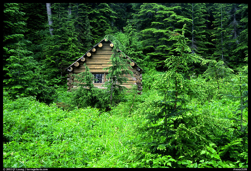 Log cabin. North Cascades National Park, Washington, USA.