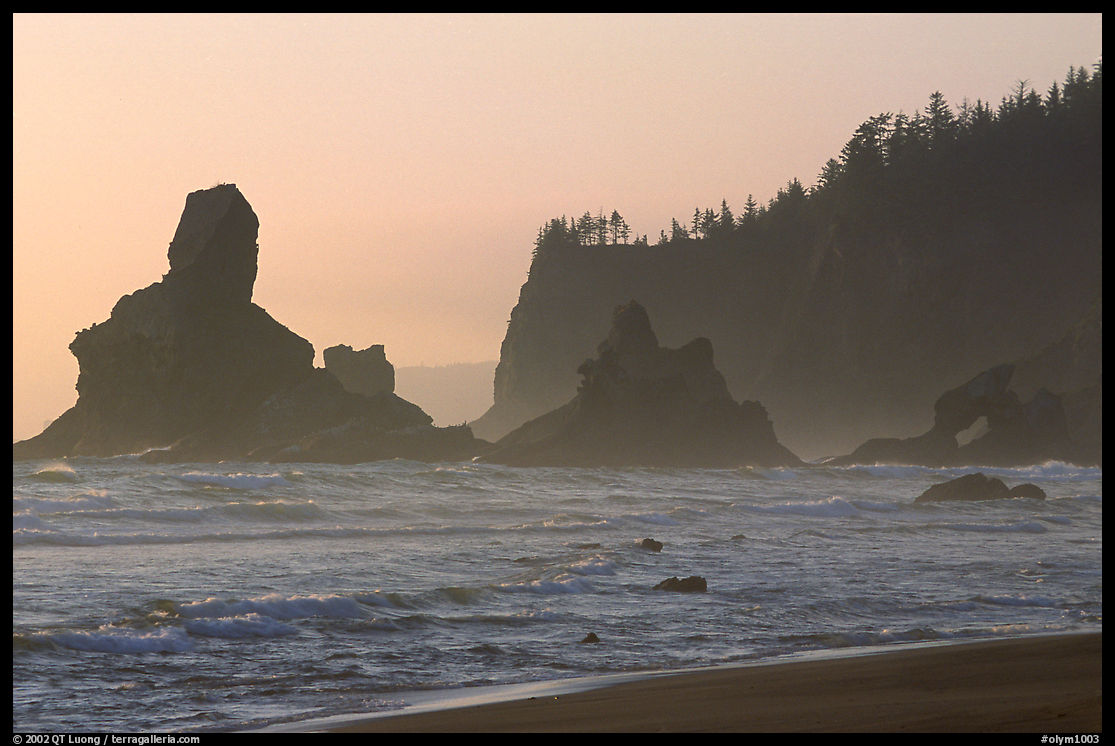 Seastacks and arch on Shi-Shi Beach. Olympic National Park, Washington, USA.