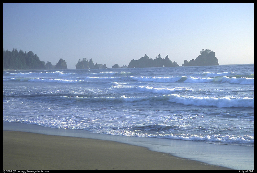Seastacks, Shi-Shi Beach. Olympic National Park, Washington, USA.