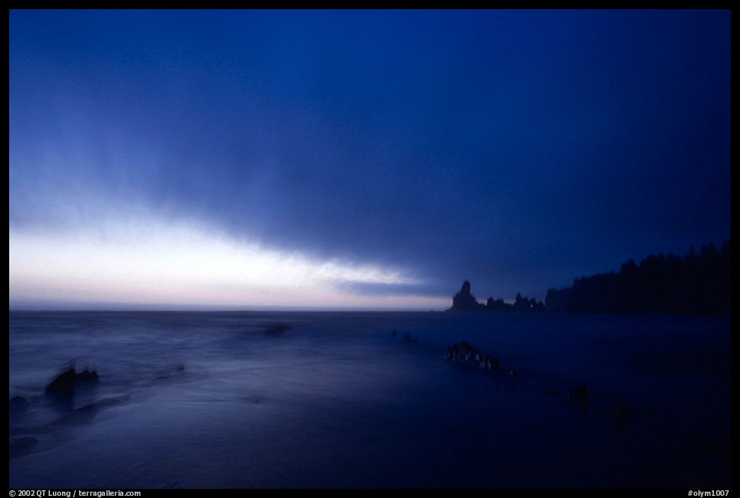 Shi-shi beach, dusk. Olympic National Park, Washington, USA.