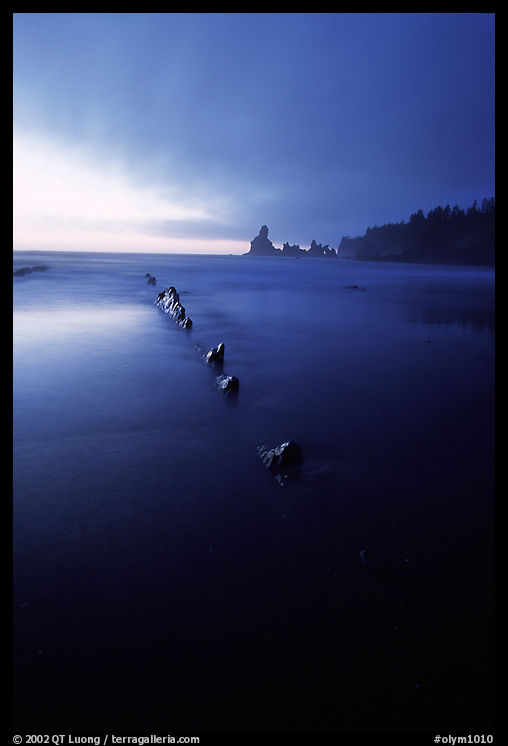 Dusk, Shi-shi beach. Olympic National Park, Washington, USA.