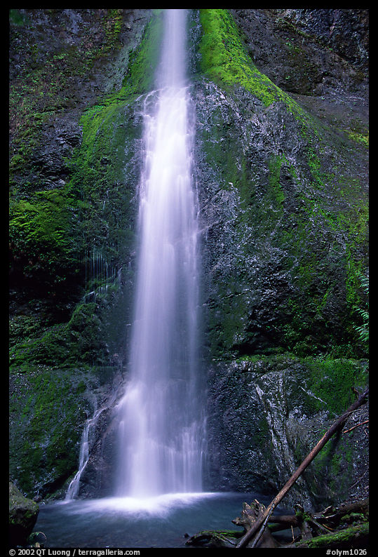Marymere falls. Olympic National Park
