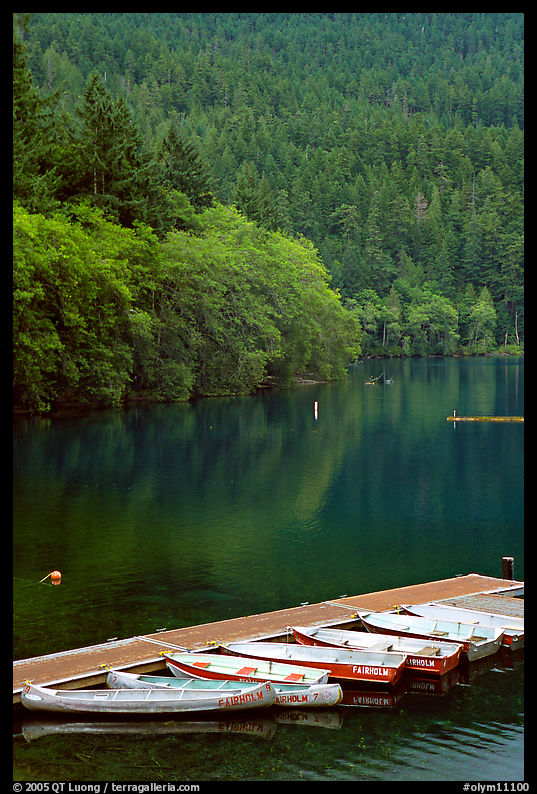 Small boats moored in emerald waters in Crescent Lake. Olympic National Park, Washington, USA.