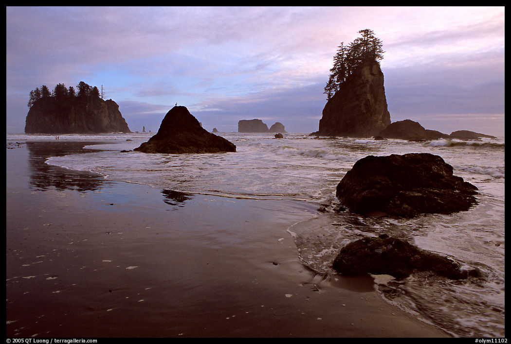 Seastacks and surf, Second Beach, late afternoon. Olympic National Park, Washington, USA.
