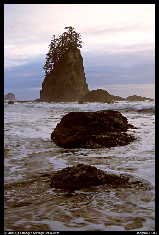 Seastacks and surf, Second Beach, late afternoon. Olympic National Park, Washington, USA.
