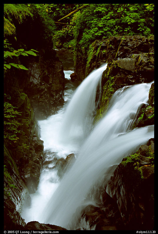 Sol Duc falls. Olympic National Park, Washington, USA.