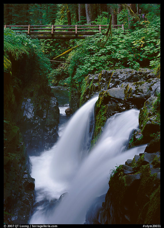 Sol Duc falls and wooden footbridge. Olympic National Park, Washington, USA.