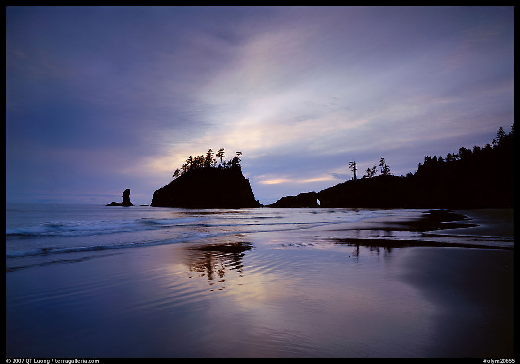 Seastacks reflected at sunset on wet sand, Second Beach. Olympic National Park, Washington, USA.
