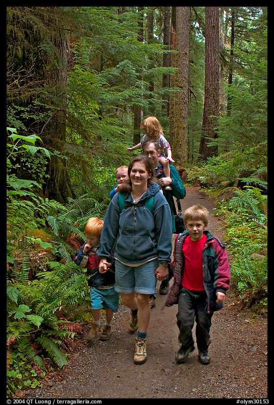 Family walking on forest trail. Olympic National Park, Washington, USA.