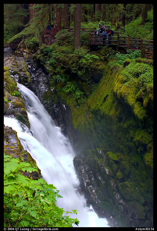 Sol duc falls and observation platform. Olympic National Park, Washington, USA.