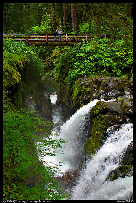 Sol duc waterfall and bridge. Olympic National Park, Washington, USA.